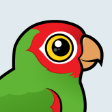 Red-masked Parakeet