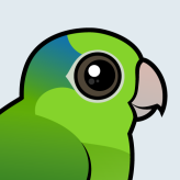 Pacific Parrotlet