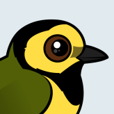 Hooded Warbler