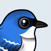 Cerulean Warbler