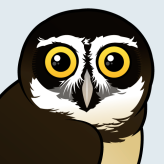 Spectacled Owl