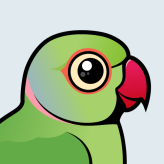 Rose-ringed Parakeet