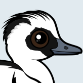 Smew