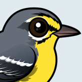 Adelaide's Warbler