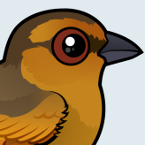 Brown Tanager