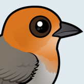 Brown-flanked Tanager