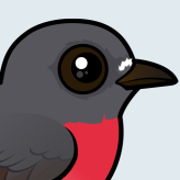 Rose Robin