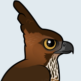 Javan Hawk-Eagle