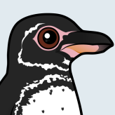Galapagos Penguin