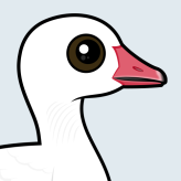 Snow Goose