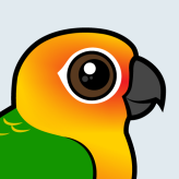 Jandaya Conure