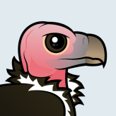 Lappet-faced Vulture