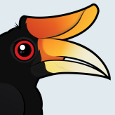 Rhinoceros Hornbill