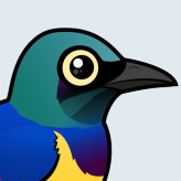 Golden-breasted Starling