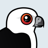 Swallow-tailed Kite