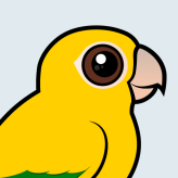 Golden Parakeet