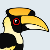 Great Hornbill
