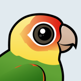 Carolina Parakeet