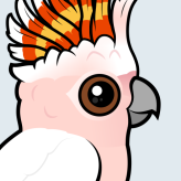 Pink Cockatoo