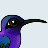 Violet Sabrewing