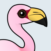 James's Flamingo