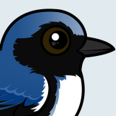 Black-throated Blue Warbler