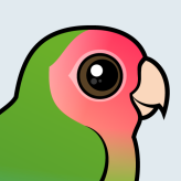 Rosy-faced Lovebird