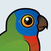 Saint Lucia Parrot