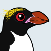 Macaroni Penguin