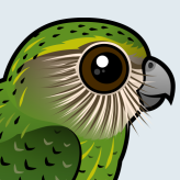 Kakapo