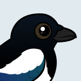 Eurasian Magpie