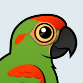 Red-fronted Macaw