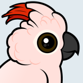 Salmon-crested Cockatoo
