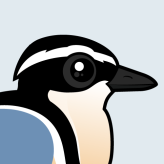Egyptian Plover