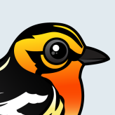 Blackburnian Warbler