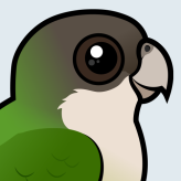 Grey-hooded Parakeet