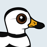 Labrador Duck