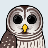 Barred Owl