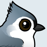 Tufted Titmouse