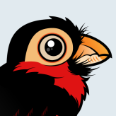 Bearded Barbet