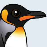 King Penguin
