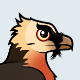 Lammergeier