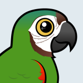 Chestnut-fronted Macaw