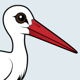 White Stork