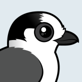 Canada Jay