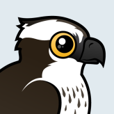 Osprey