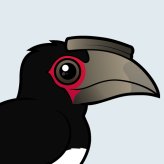 Trumpeter Hornbill