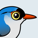 Velvet-fronted Nuthatch
