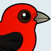 Scarlet Tanager