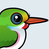 Cuban Tody
